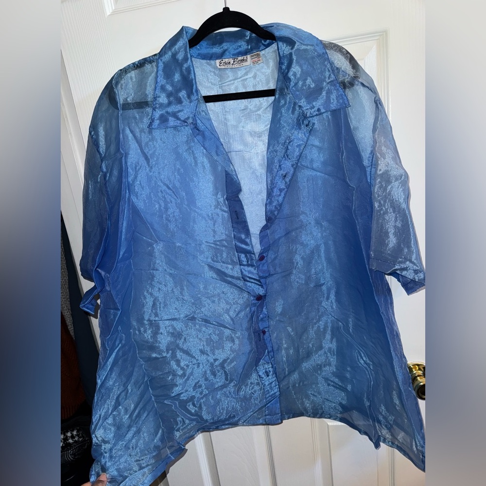 Sheer Blue Button-Up Blouse